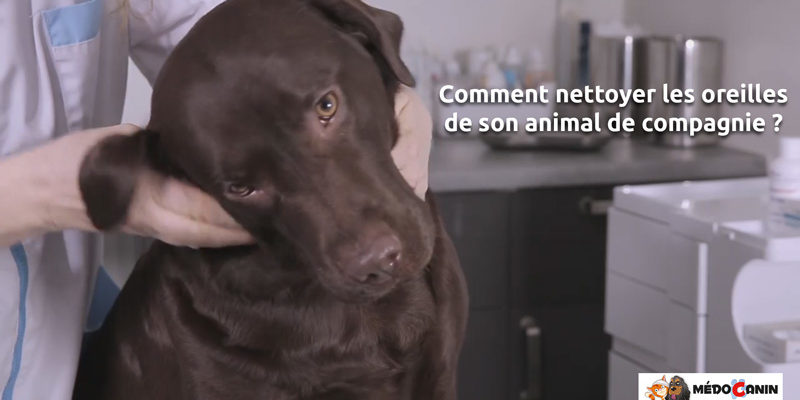 Nettoyer-les-oreilles