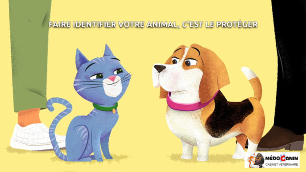 Semaine-de-l'identification