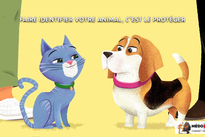 Semaine-de-l'identification