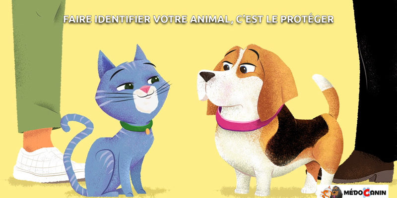 Semaine-de-l’identification Semaine-de-l'identification